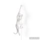 Seletti - Wandlamp - Monkey - Hanging Links - White Outdoor