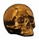 Seletti - Memorabilia - Gold - My Skull